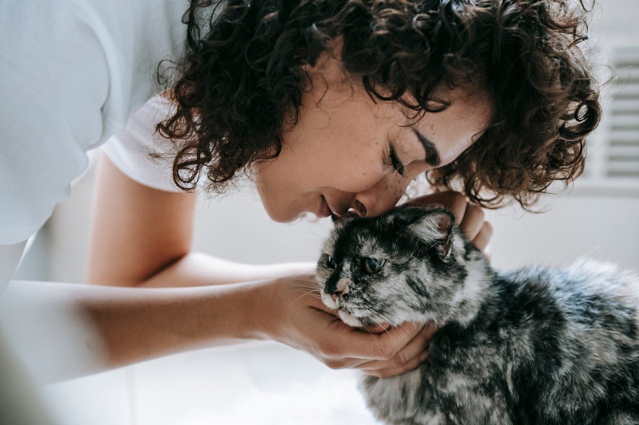 Cat with person